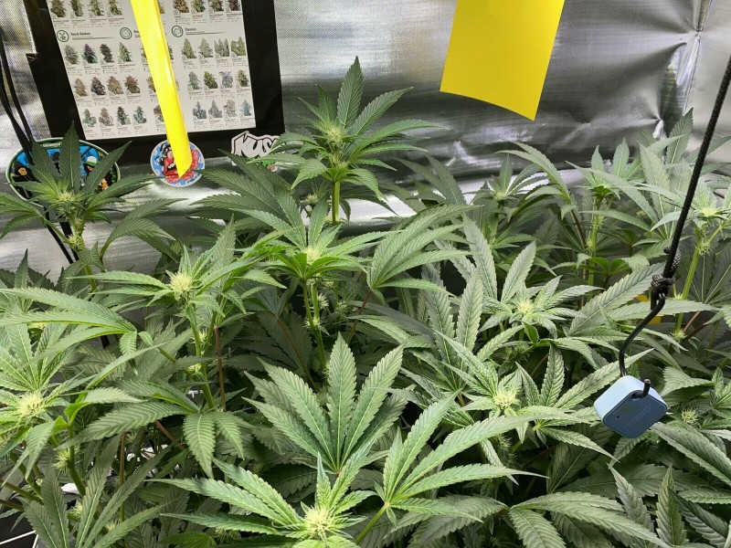 A0F4E5E9-E940-4F67-8895-70320763FC78