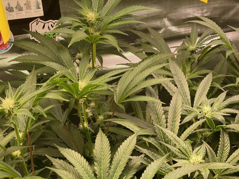 0A9C981B-7F2F-407D-B1E3-7AF163AD10EA