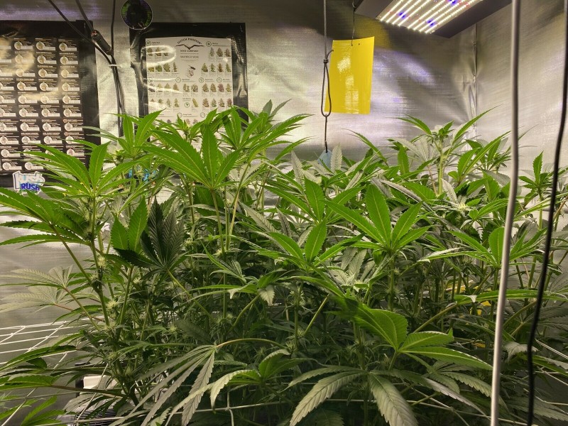 70C1B3A6-8B81-42C5-AF4A-5F8AD846CDA7