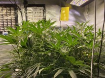 70C1B3A6-8B81-42C5-AF4A-5F8AD846CDA7