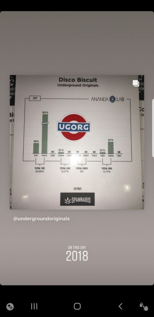 Screenshot_20210311-170336_Instagram