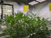 5AD807A3-67D8-4AA8-A2E3-FBA55DCCCB6B