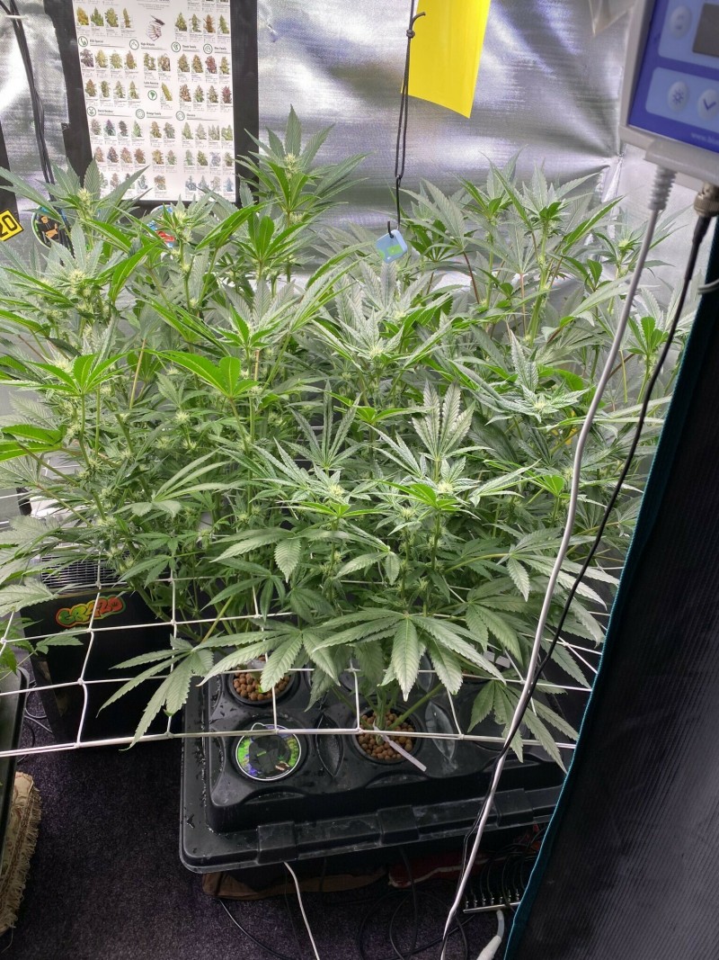 0CC2B3FE-771C-44AD-9848-506B4AB9E037