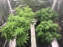 34C14ABC-03F9-4EAF-8606-25A69B3740DE