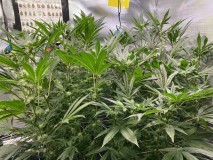 25DDD841-E571-4C35-8F2A-0C8F1492AB34