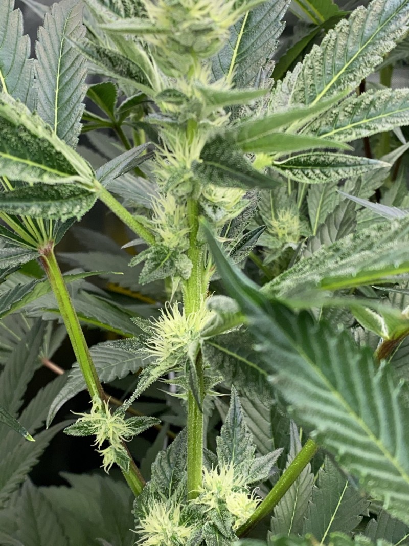 25279686-F124-44C4-8DA4-A8955F30EC07