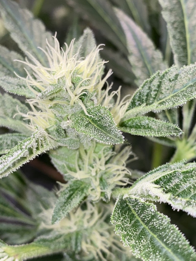 3D62660D-0F5C-4BF1-889C-180CCA24E214