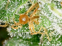 4A3E9DE6-19E5-46B4-98DE-7048EFCE2C6A