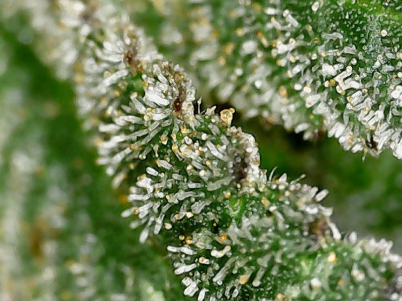 69F43081-D276-4DFD-91CD-C329C2B52274