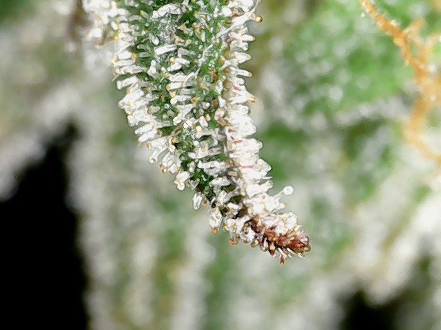 8FC86AE2-7C90-449E-9355-79C2DAE340F4