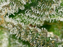 52E5EA78-E02A-4129-A0F8-59CF946316DB