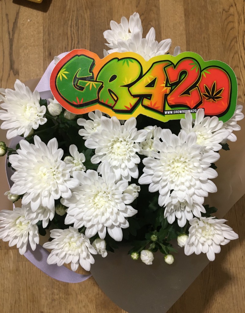 BB26296C-FEAB-4FFB-847F-3E197F3B7994