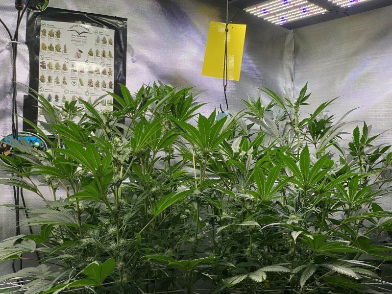 21FF1ED1-3544-4183-98B7-340AD73F3124