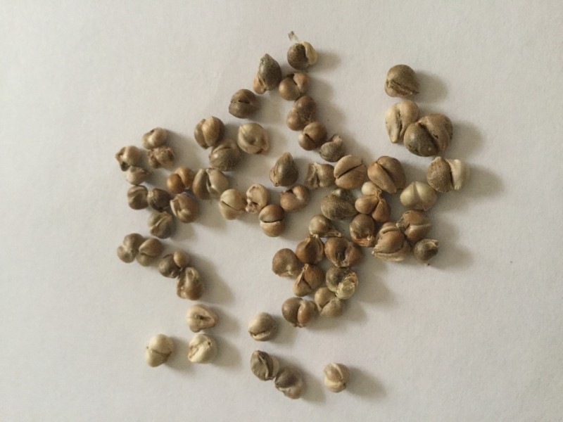 8984151A-1FA9-4129-9D06-F3A04A0B3688