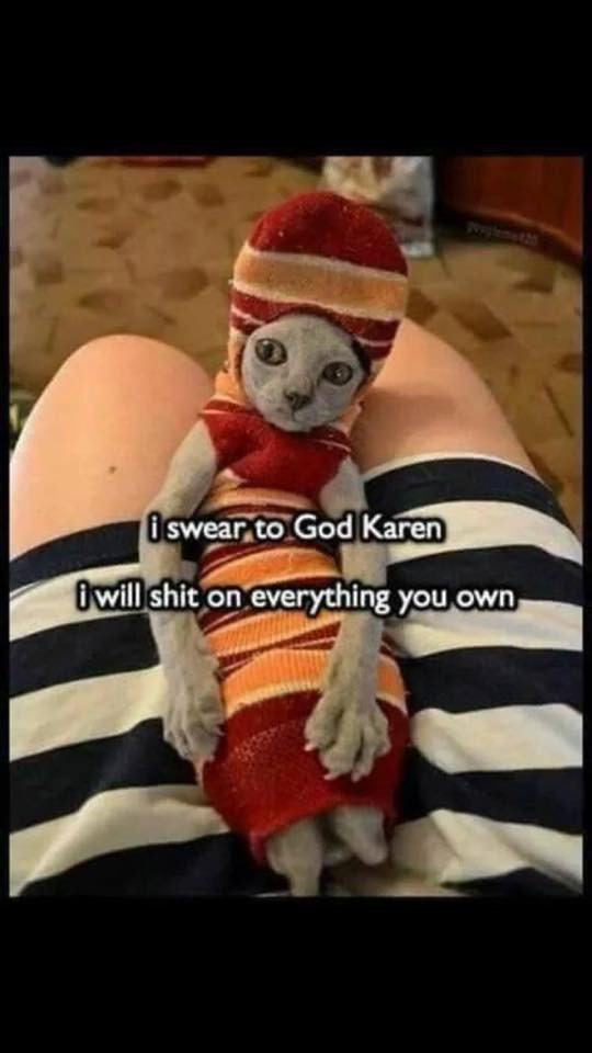 43952425_2505437716149716_8414380599799709696_n