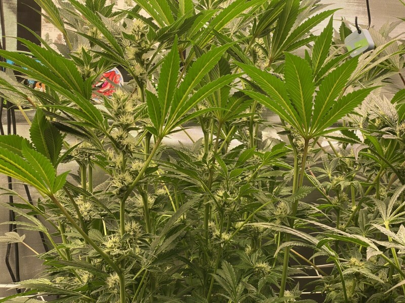 E1DC2C59-EC84-4F33-9B6C-5586617B9BE1