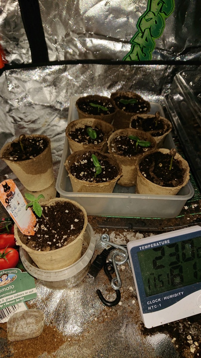 obscura1616353946126