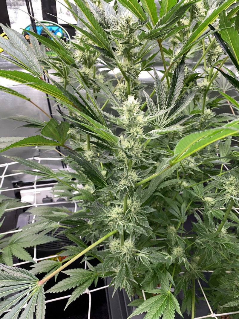 0288DE8B-61E4-45CB-AC83-90DFCB844B14