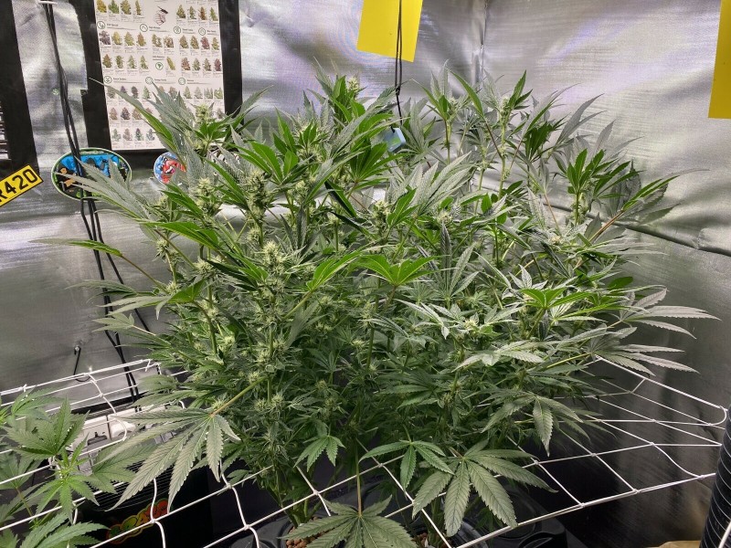 94BE2C07-49F2-481B-84AC-712B1A3C0DCB