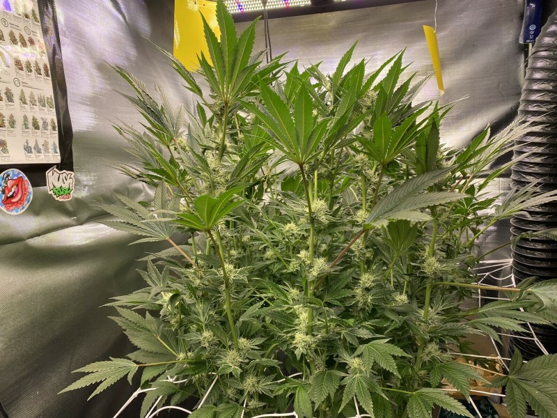 2699D95E-9F3E-4A14-9C93-C280864AEDC4