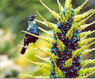 sketch-1616369823340