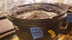 1616378547971534990586027204431