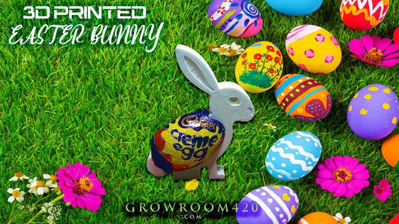 mn mrman easter bunny ad shop