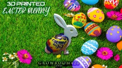 mn mrman easter bunny ad shop