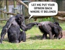 1815460f9cde256b2bb0f84f717d1cf5