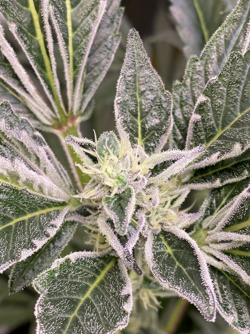 DA8A9E14-2BB1-4A6D-8F09-A9BEF2793ADE