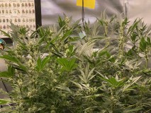 50B4BBC7-B636-4B79-A147-5763BB64FE3C