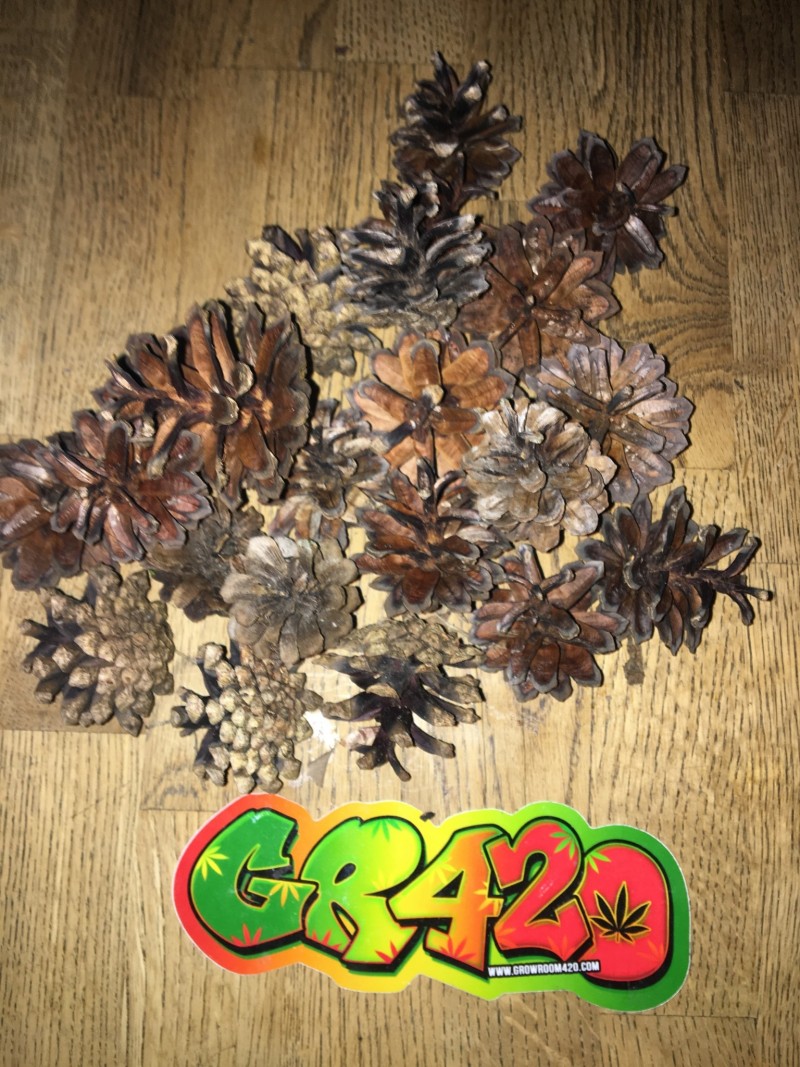 8D6EE7C1-6D0A-4B89-B19B-0FD3924F48AA