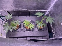 86B21DDC-3806-4560-B100-75F9D806540E