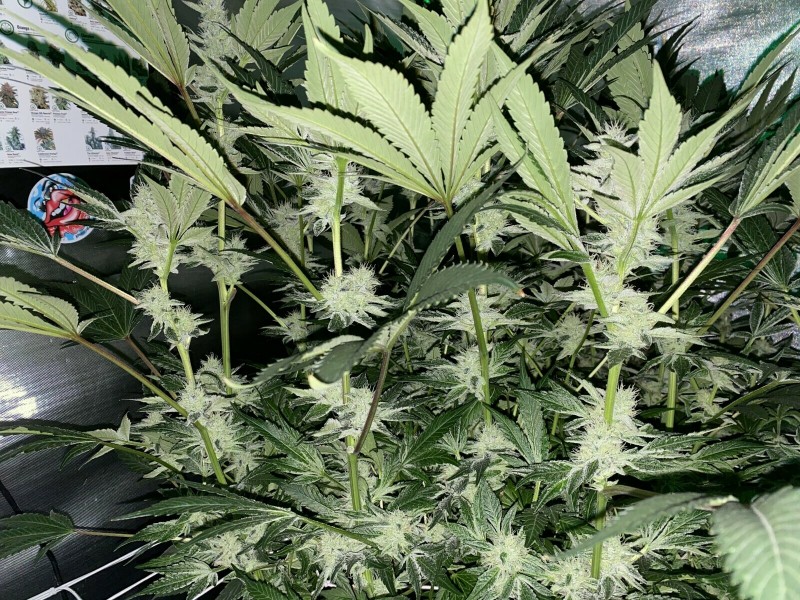 7EBE5F6B-E139-4F0F-B5A7-96FBAF22B035