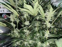 7EBE5F6B-E139-4F0F-B5A7-96FBAF22B035