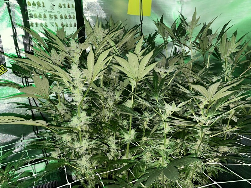 B4D6674B-0221-4661-8F7D-B562F152C9BA