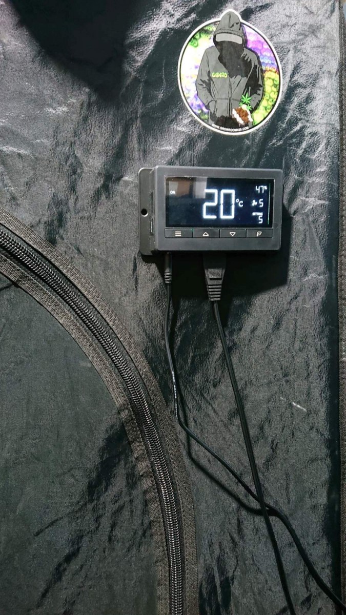 obscura1616864511303