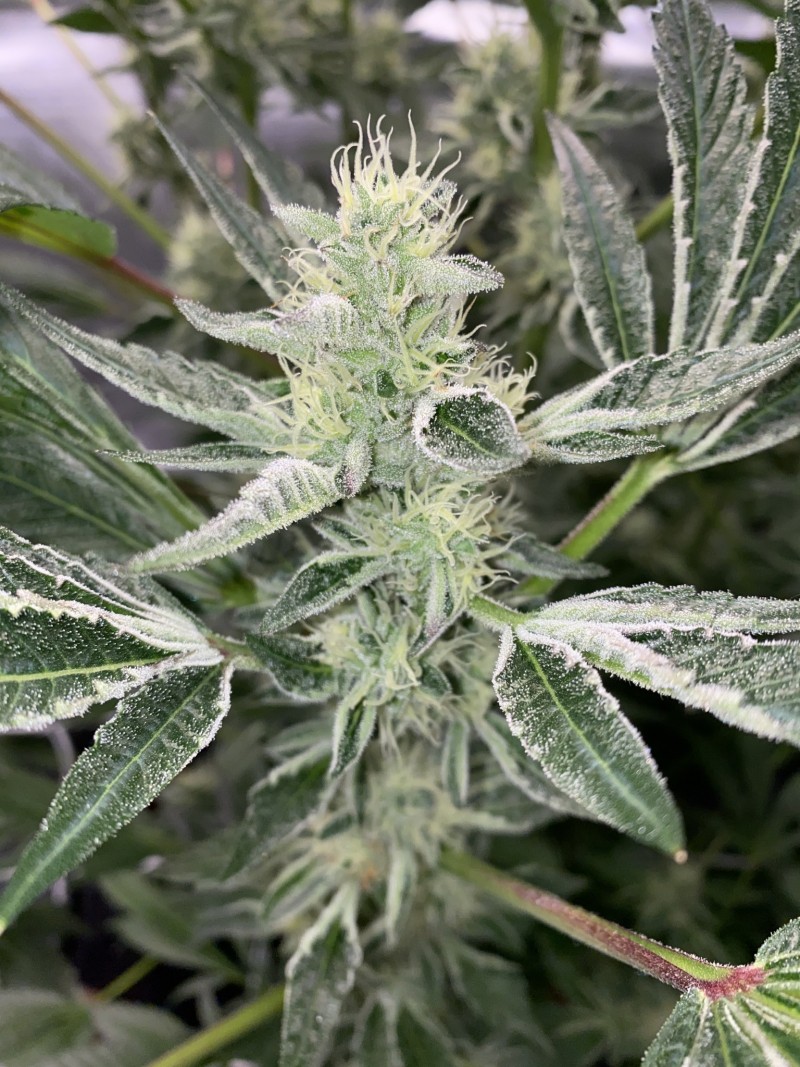 65A921CC-82BB-460C-8984-2DE506436A6F