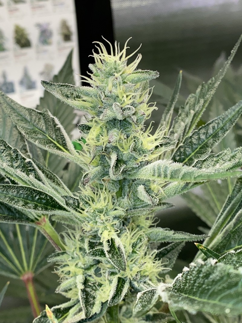 18C6BC7C-EBEB-4723-8E2C-4549E4A56647