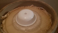 16170696881297832016512031476335