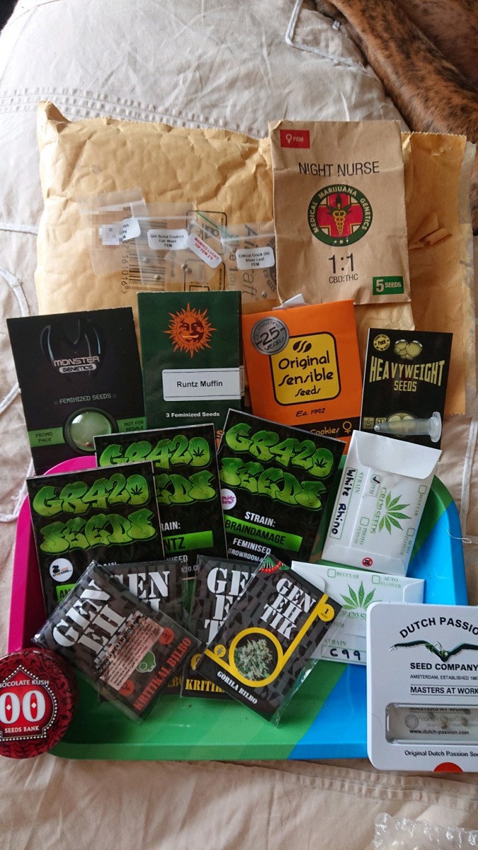 obscura1617207683464