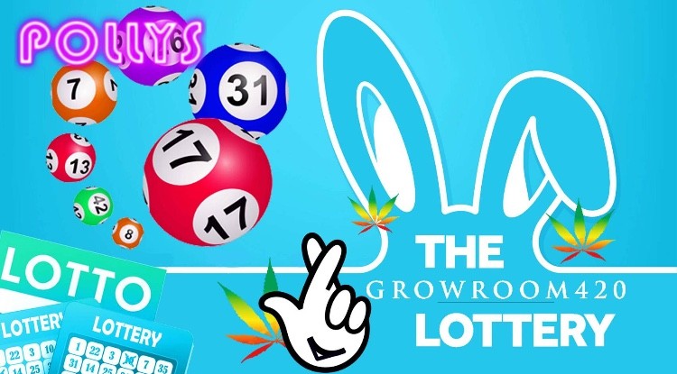 899FDA23-13CD-4A36-91A3-CB8F4534C836