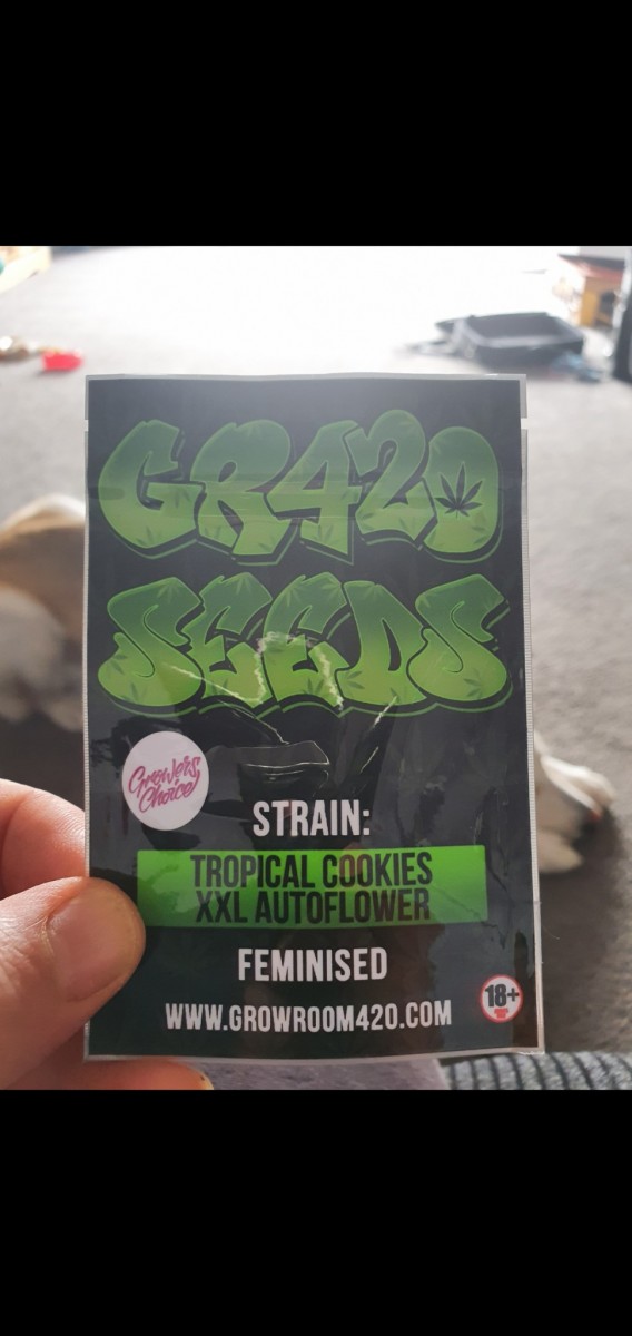 Screenshot_20210401-113302_Gallery