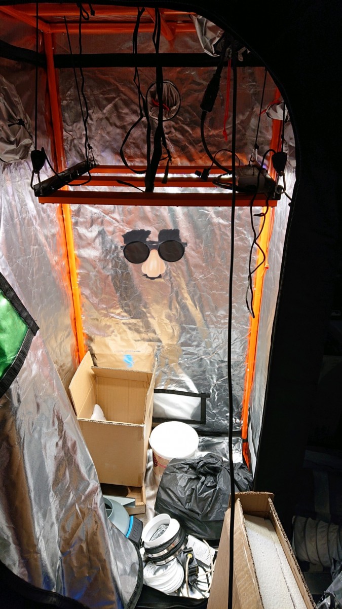 obscura1617294244837