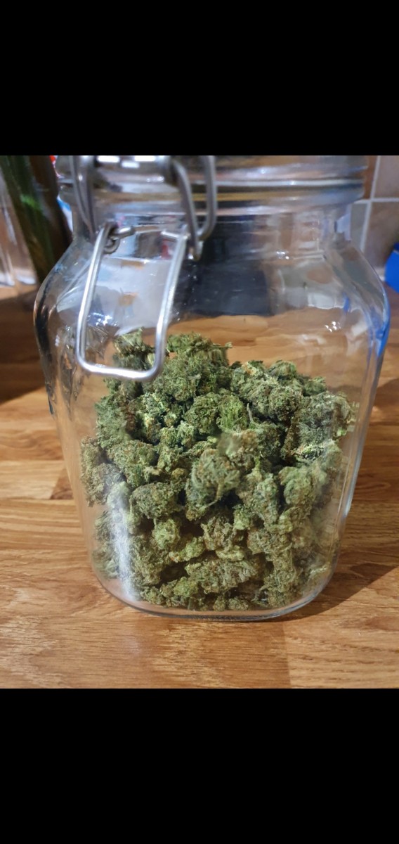 Screenshot_20210401-215505_Gallery