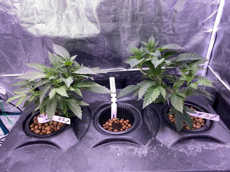 01A9B329-988F-4D71-A3DC-F7E4F37F69CC