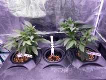 01A9B329-988F-4D71-A3DC-F7E4F37F69CC