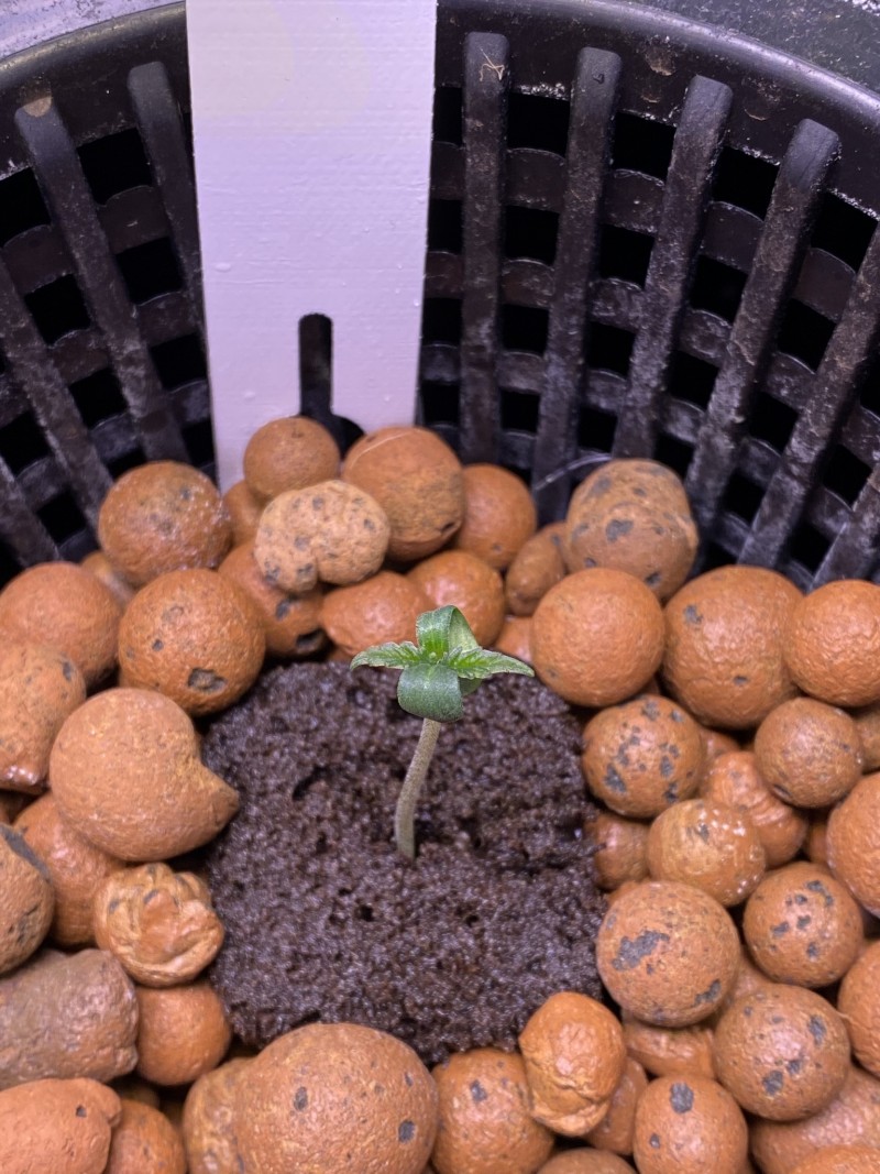 4C859638-A885-4175-A48B-E92E90BFC733