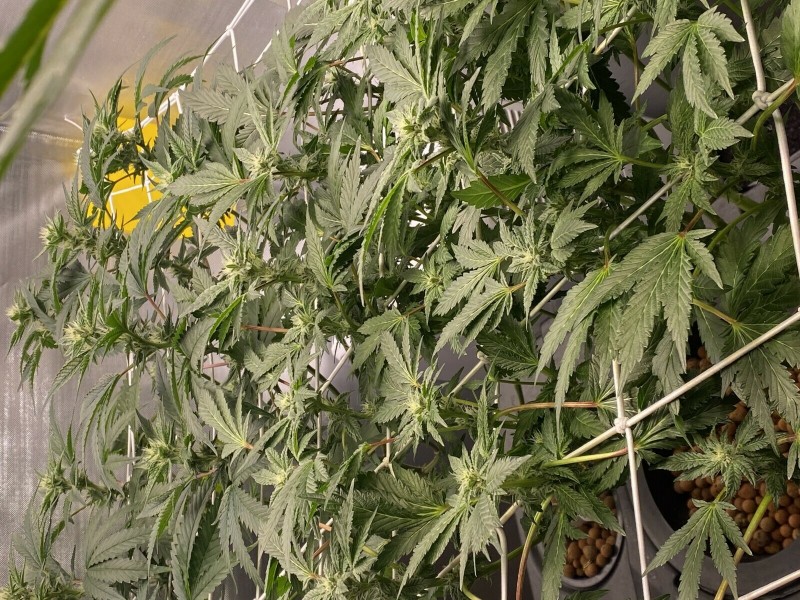 F9B14978-4790-4FDD-A8F1-9FF196A65E34