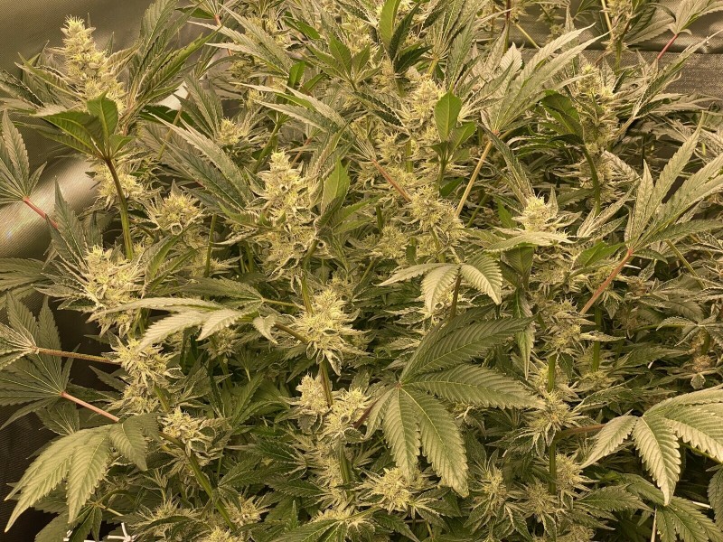 B37AB35A-8ED6-4756-B19A-DE9DF6BC225C